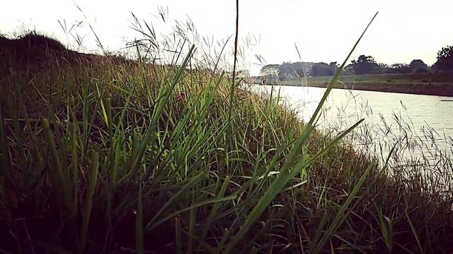 When You IGNORE A Covert Narcissist And Refuse To Be Controlled, This Is What Happens | NPD | Cover