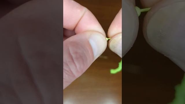 ОСНАЩЕНИЕ БЛЕСЕН НА НАВАГУ И ЗУБАТКУ #рыбалка #жекарыболов #shorts смотреть онлайн