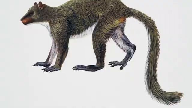 ЭВОЛЮЦИЯ - Теория? или Факт? смотреть онлайн