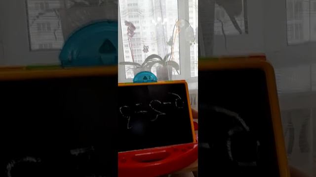 я умная очень смотреть онлайн