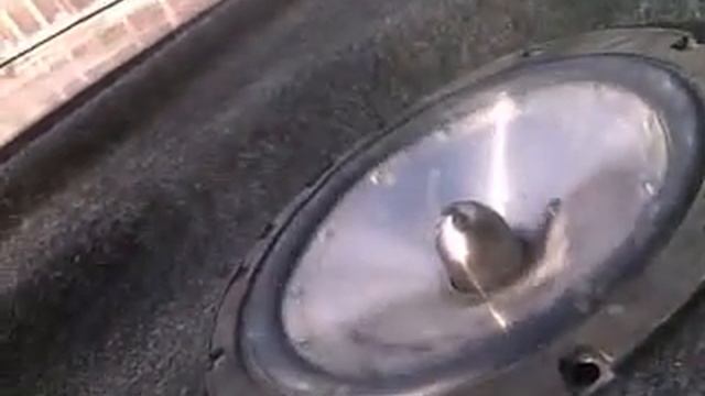 2 колонки на 10ке смотреть онлайн