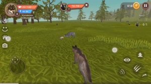 Прохождение игры симулятор волка