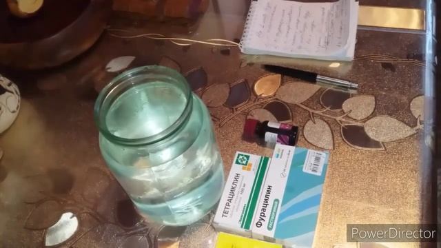 Самая Надёжная Пропойка для Покупных Цыплят//Антибиотики для Цыплят!?//Пропойка по Золотухину Н.И.