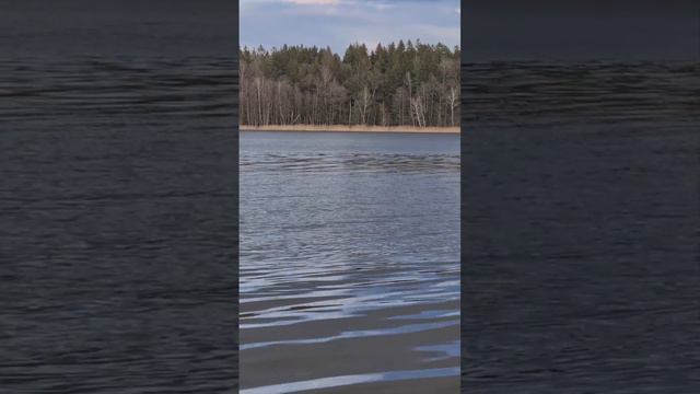 Совместные рыбалки и обучение фидерной ловле! смотреть онлайн