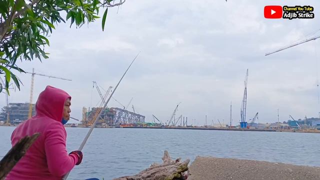 Bikin Ketagihan.!! Mancing Tepat Di Sarang Ikan Baronang Super Babon Pakai Tegek смотреть онлайн