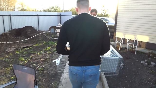? Едем за женой для "Кефира" смотреть онлайн