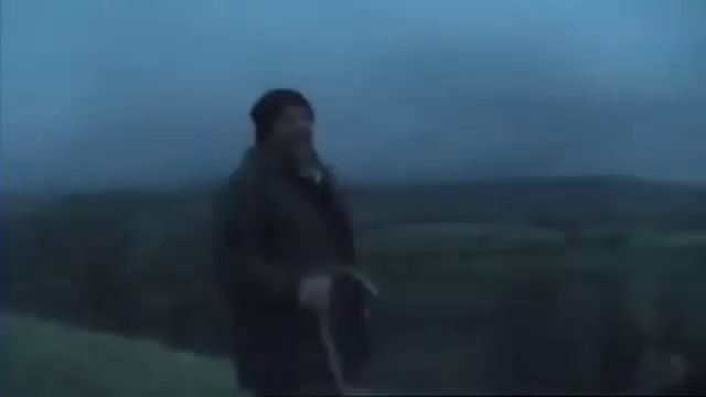 Светящиеся овцы смотреть онлайн