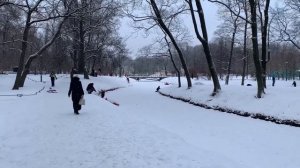 ЛАКОМСТВО ДЛЯ СИНИЧЕК: готовим корм для птиц своими руками