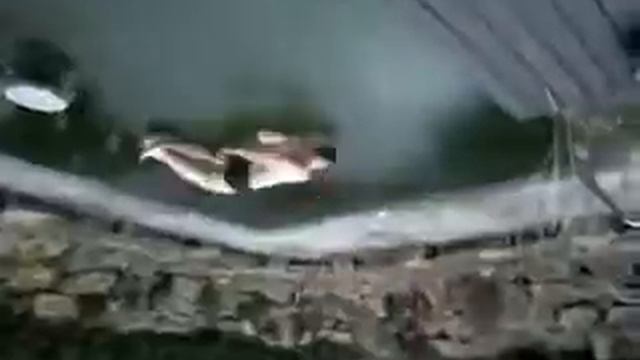Catch the Ice Dude Remake 2.0 смотреть онлайн