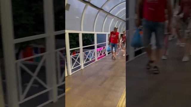 Сочи Лазаревское 2.07.2022 вечером гармонист рвёт баян 🪗 в надземном переходе смотреть онлайн