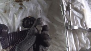 Porsche Cayenne [Порше Кайен] Как заменить моторное масло и фильтр на двигателе V6