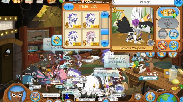 Animal Jam|Trading Proofs (Den betas) ~Beta clothing :3 смотреть онлайн
