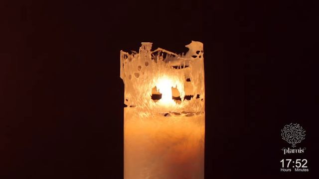 Натуральные пальмовые свечи. Горение / Palmwax Candles. Сandle Burning