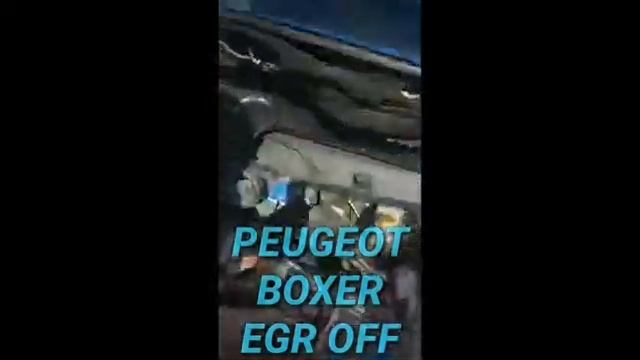 Peugeot Boxer Отключение EGR смотреть онлайн