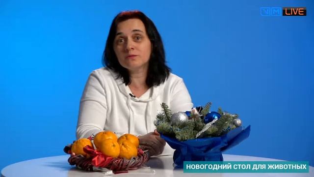 Новогодний стол для животных смотреть онлайн