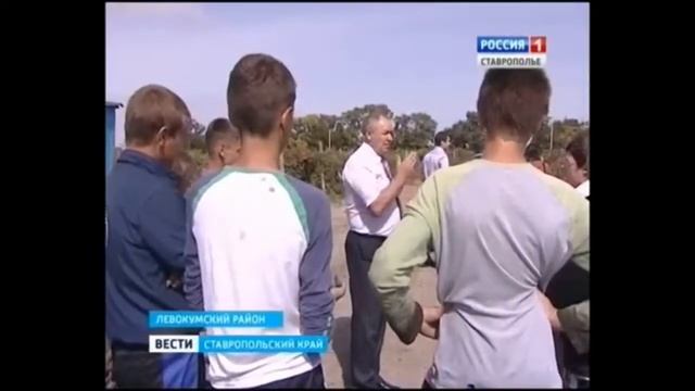Vinograd смотреть онлайн