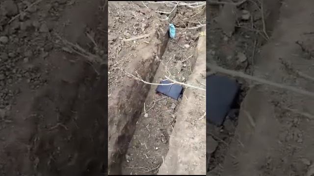 5 декабря 2023 г. смотреть онлайн