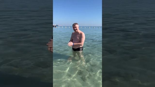 ТУРИСТЫ БОЯТСЯ АКУЛ ? В ЕГИПТЕ, КУПАЮТСЯ В МОРЕ ПЕРЕКРЕСТИВШИСЬ ? Пиратская Жизнь в Хургаде смотреть онлайн
