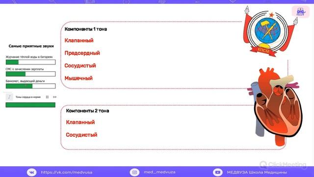 Аускультация сердца | Тоны сердца в норме | Пропедевтика внутренних болезней смотреть онлайн