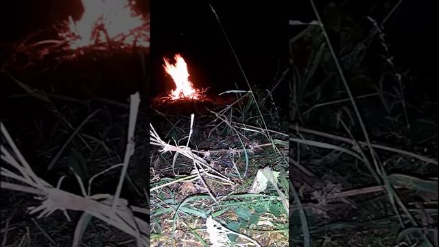 Дихлофос&Костёр смотреть онлайн