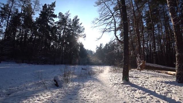 22 01 2024 Харьков смотреть онлайн