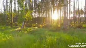 Библия, Книга Исход 1-20