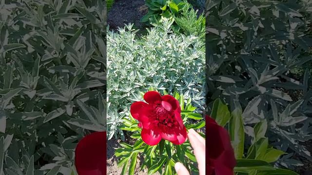 13 апреля 2022 г. смотреть онлайн