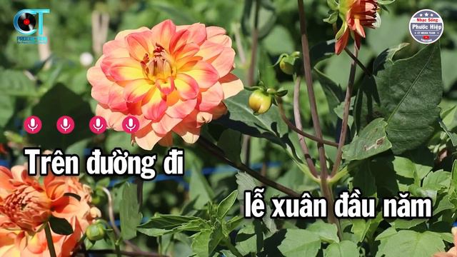 Karaoke Câu Chuyện Đầu Năm Tone Nam ( Am ) Nhạc Beat Mới 2024 | Nhạc Sống Phước Hiệp смотреть онлайн