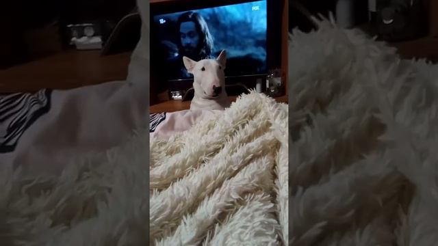 Ну очень интересное кино!!! смотреть онлайн