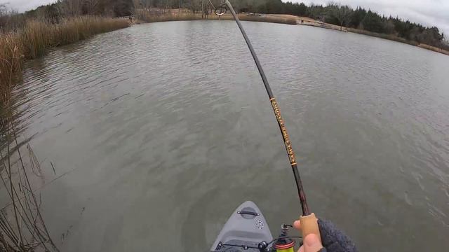 I found a HUGE school of black crappie in grass! (Jig and bobber in the winter on the mainlake) смотреть онлайн