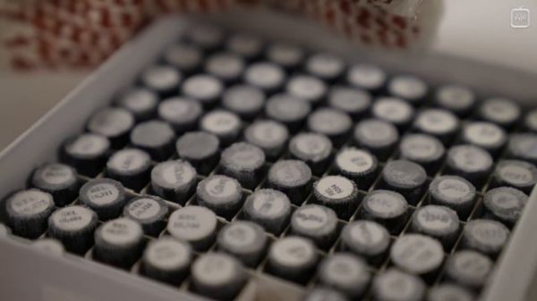 Самый долгий эволюционный эксперимент [Veritasium](1080P_HD)