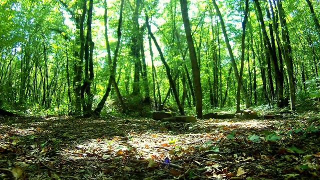 Релакс видео для фона HD. Тайны леса. Дольмены. Звуки течения горного ручья. смотреть онлайн