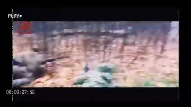 Интенсив ПТСР Team смотреть онлайн