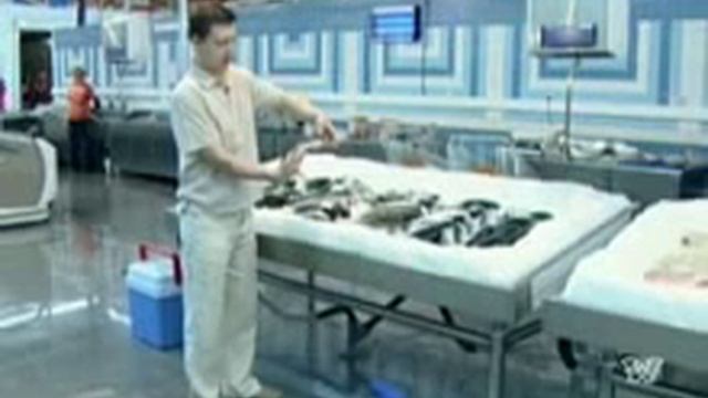 как правильно выбрать рыбу смотреть онлайн