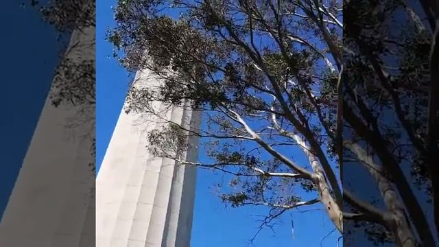 Coit Tower San Francisco смотреть онлайн