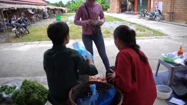 Hien And Khoa Harvest Star, Fruit Dragon Fruit To Market Sell - Dig Drainage Ditches Around House.