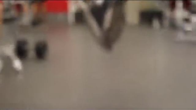 Introducing Max from Pump It Up Digital Marketing Agency смотреть онлайн