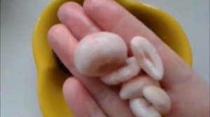 Мангостин (1 этап ) Проращивание