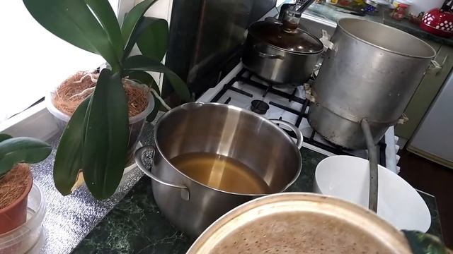 Я в саду сорвала грушу, Ох, и сочная была, Нос и щёки, даже уши Груша соком облила. Грушевый сок смотреть онлайн