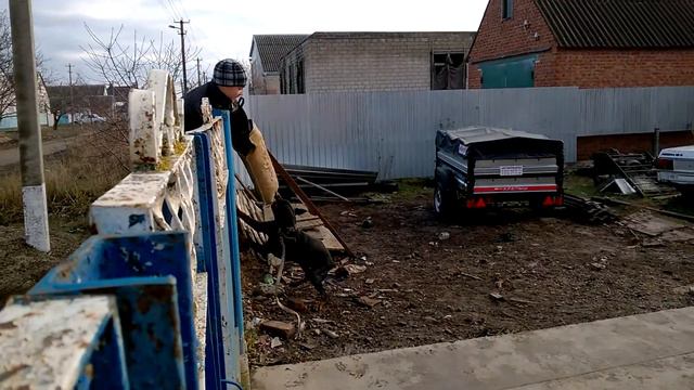 НКД доберман постановка на рукав смотреть онлайн