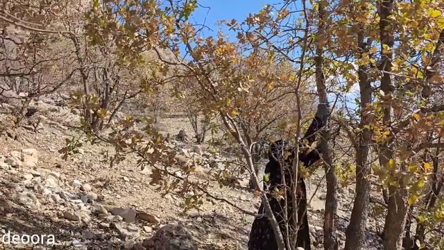 Rekindling Strength: Breathing Life Into Nomadic Aspirations Amidst Havoc #deoora