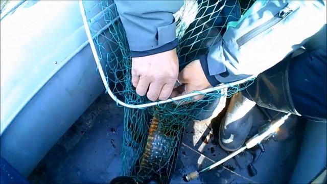 Ленинградская обл.Рыбалка на Речках местных и "глухих таёжных" Вологодских. смотреть онлайн