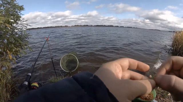 Осенний фидер! Ловля осенней плотвы на фидер на реке Днепр! Приятный бонус! смотреть онлайн