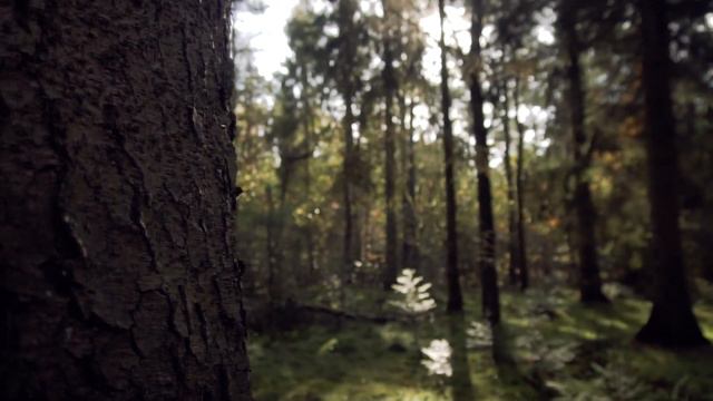 Авторська мелодія о. Даниїл Сікора, ЧСВВ - Deo gratias — Богу подяка / фортепіанна музика смотреть онлайн