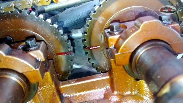 Desmontaje de cadena de distribución? Cambio de junta de cabeza de motor Ford Escape #Garagemejia50 смотреть онлайн