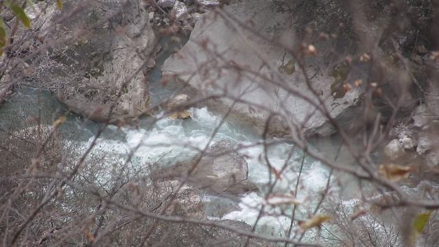 MVI_8088 смотреть онлайн