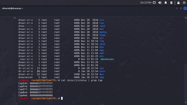 LumberJack Turtle - Official TryHackMe Walkthrough