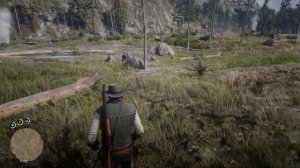 Red Dead Redemption 2  - Карта сокровищ шайки Джека Холла 2