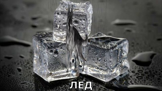 ?Лай собаки ?варианты звуков ? смотреть онлайн
