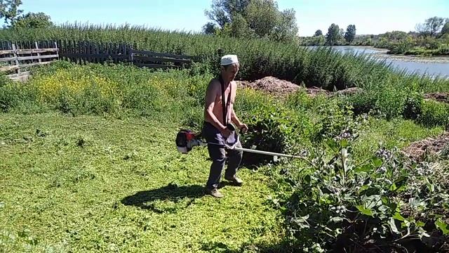 Бюджетный триммер для дачи и огорода ВТ 56 #триммеры #ru_kompass #бензотриммер #дача